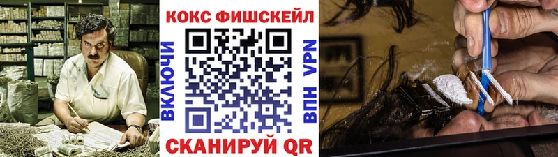 Купить где  Жердевка  COCAIN Fish Scale 