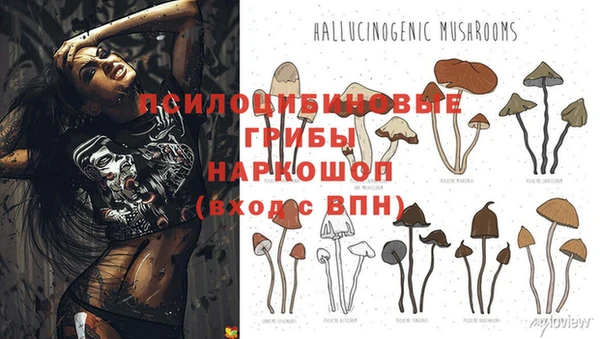 jwh Бронницы