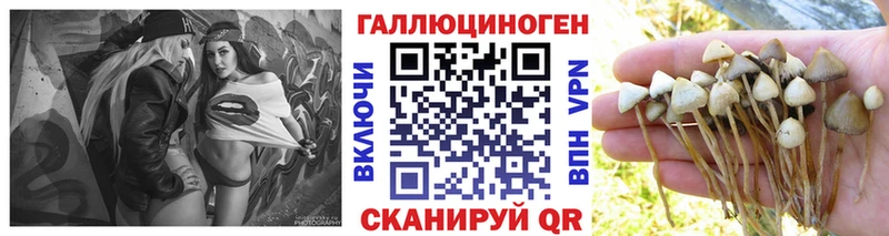 Галлюциногенные грибы Magic Shrooms  Купить где  Жердевка 